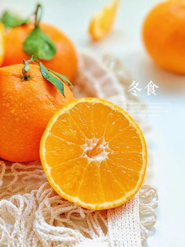 quýt Ehime - Ảnh 2