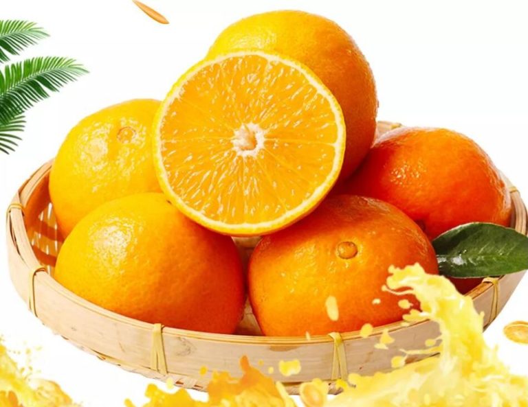 Mua cam Ehime Jelly giá sỉ – Nhà cung cấp cam quýt muộn Trung Quốc