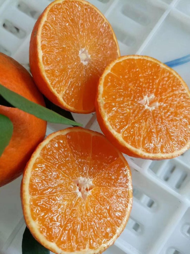 Cam Ehime – Lý do được gọi là “trái cây thạch”