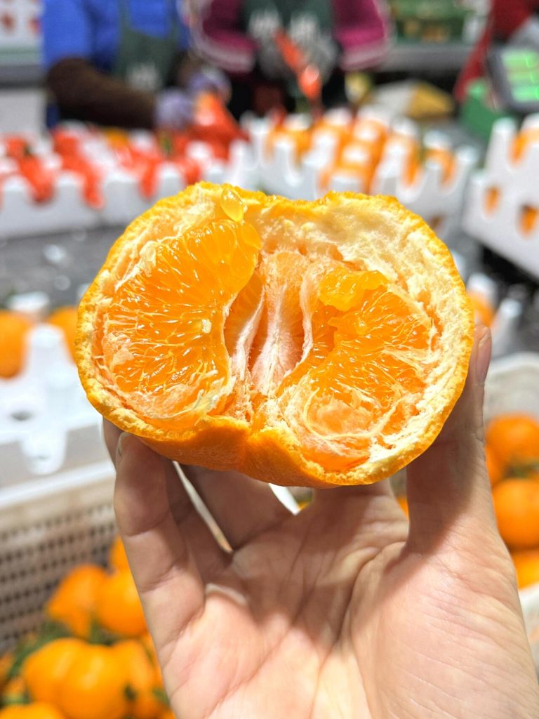 Bán buôn cam Chunjian cho nhà phân phối và chợ đầu mối