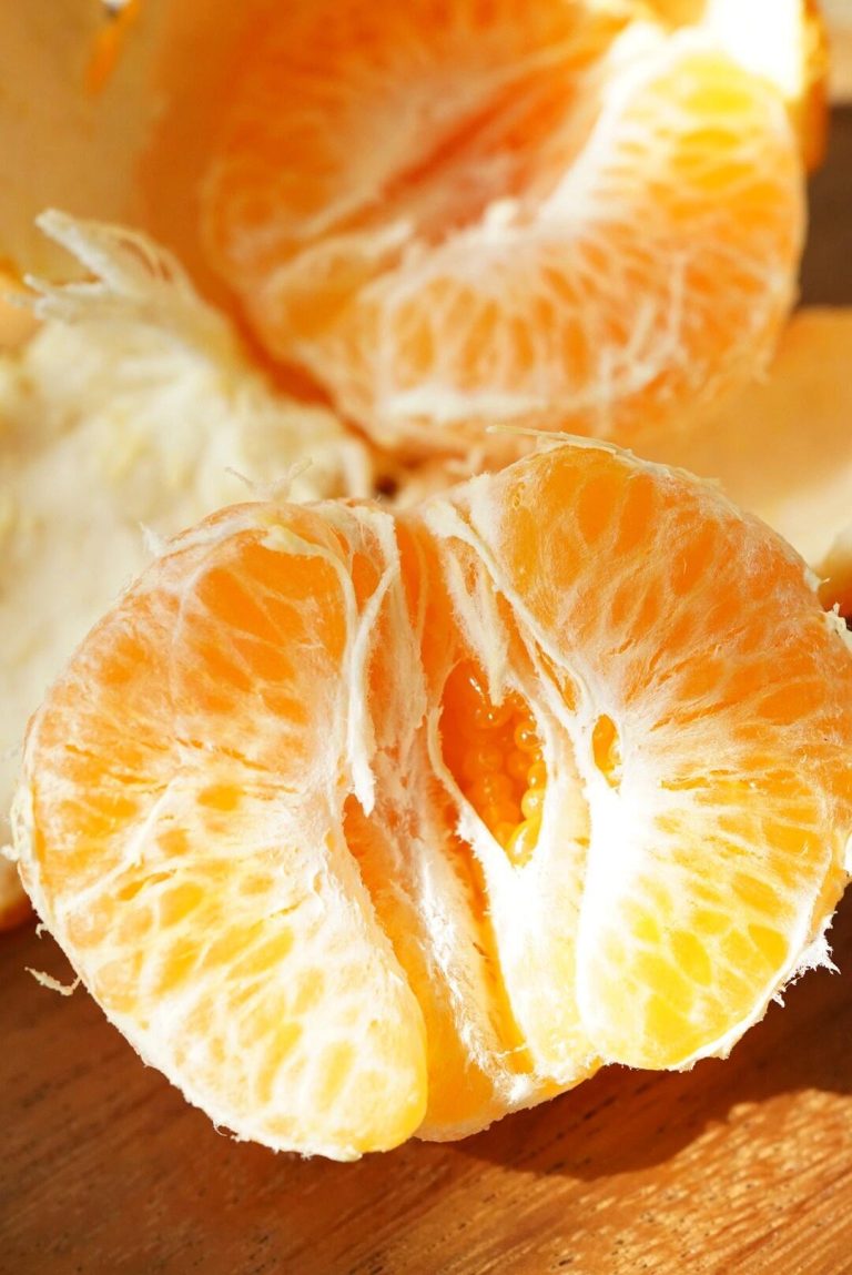 Quản lý sau thu hoạch quýt Chun Jian để giữ độ tươi và chất lượng xuất khẩu
