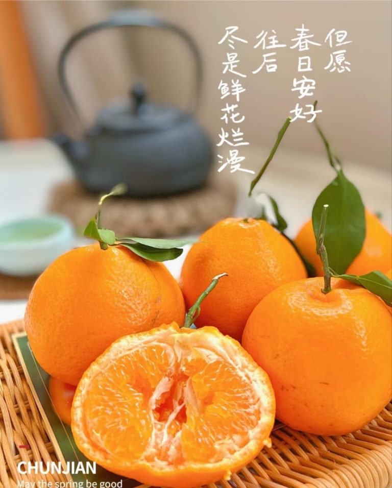 Quýt Chun Jian: Lý do tại sao loại cam quýt Trung Quốc này được ưa chuộng ở Đông Nam Á
