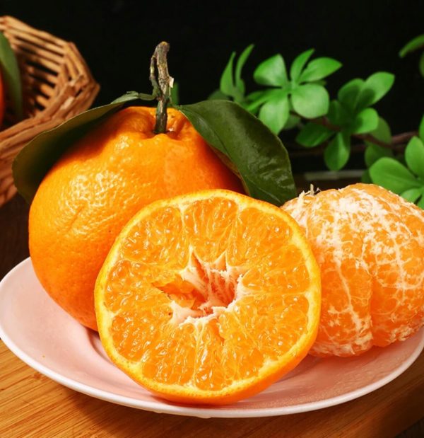 quýt Chunjian（quýt Chum）