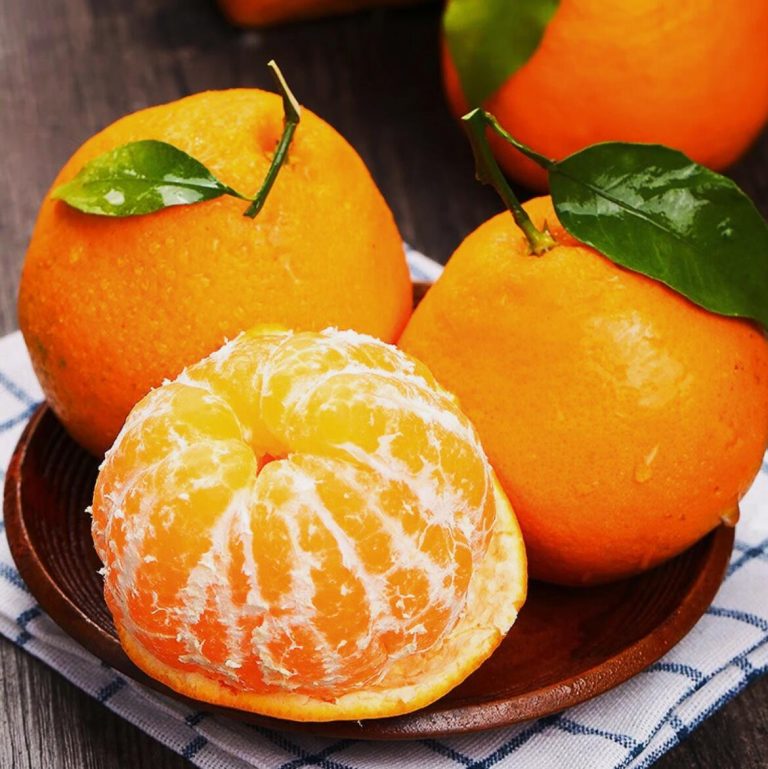 Bán sỉ quýt Papagan Trung Quốc cho thị trường mùa đông