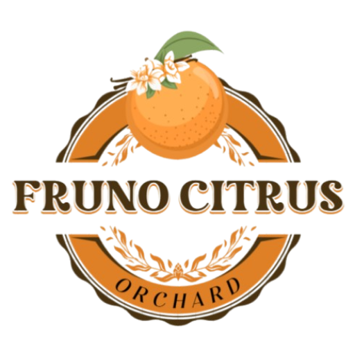 FRUNO bán buôn cam quýt chín muộn của Trung Quốc